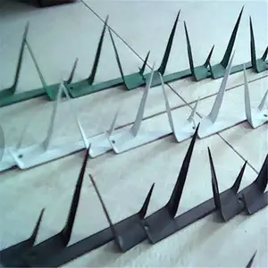 ***С�������� ��пΧǽ�̶� ��������
