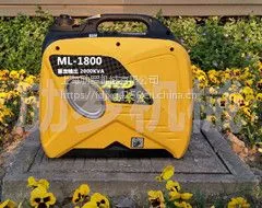 车手陈震同款发电机ML-1800