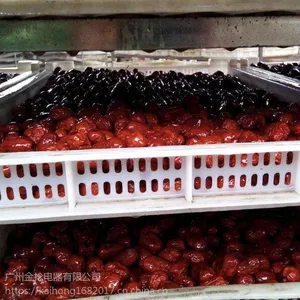 红枣烘干设备 铭迪品牌 空气能烘干机厂家