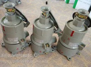 BCX53防爆插销