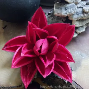[紫荆花]禅意木莲紫荆花干花批发 云南手工干花制作材料梧桐壳 组合手工工艺品
