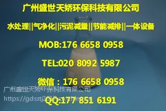 盛世天娇FQ8198有效率90%植物除臭剂天然除臭液微生物菌装修异味清除剂精油家居空气清新剂