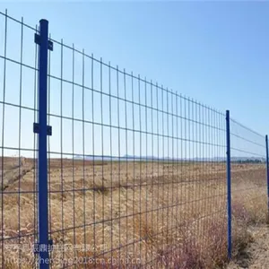 圈地护栏网厂家 振鼎 厂家直销 铁丝护栏网 护栏网厂家 圈地护栏网批发