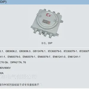 BXJ51-20/20���������� ���ߺ� IIB IIC DIP �۳�����˫���շ�����