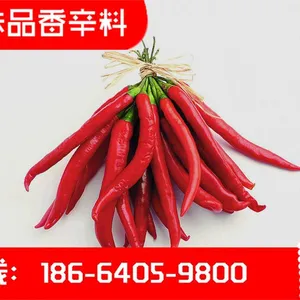 ��˶������ͻ� ��˶� ***������ʳƷ��