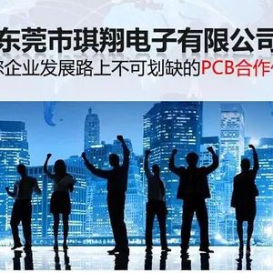 东莞市琪翔电子有限公司