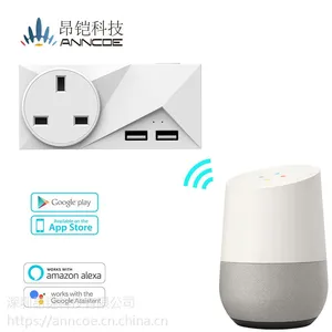 英规标准Wifi智能插座插头与亚马逊Alexa echo及Google home工作