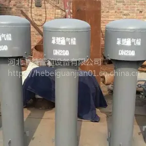 河北沧州生产源益品牌罩型通气帽口径DN200