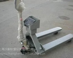 YCS-2T上海流水线拖地秤厂家定做
