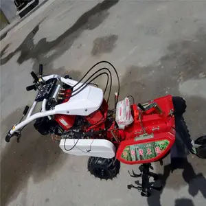 ���Ͷ๦��С�������� ���������߲˿����� �����������������