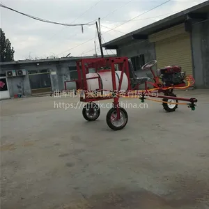 �����ĳ�����ƹ�԰��ҩ�� ��ľɱ���ҩ�� ũ������������������