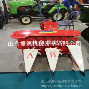 ����� С���ո�� ���͸�ɹ�� �����ո�� �۸�