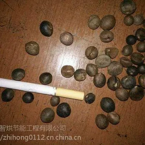 ����ѭ���ȷ���Ǻ���ɽ���Ѹ����豸������
