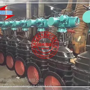 铸铁电动闸阀Z945T-10 DN500