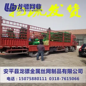 �������ݸ����� 6������� ���ظ���������