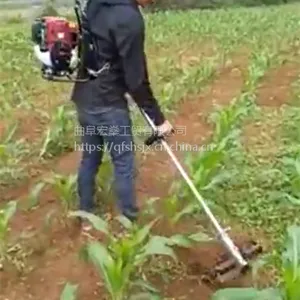 �ĳ�����ɳ��ݻ� С��԰�ֻ�е�ĳ�̱�Яʽ������