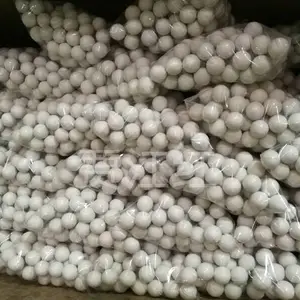 ��ɸ��� ���� �������������豸���� �ֽ��� ����