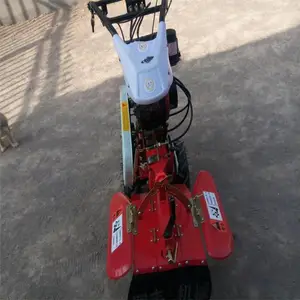 ˮ������԰���ػ� �¿��п�����л� �Ʒ�