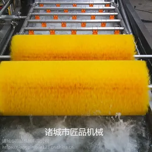 匠品小龙虾气泡清洗流水线香菜全自动清洗机产量大省人工翻浪网带带提