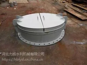 节能侧翻拍门 品牌:河北力扬水利 启闭机闸门