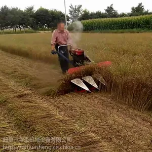 �߸������� ����;ˮ���ո�� �Ȳ��ո����������