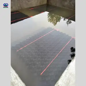 信阳潢川鳝巢价格【蜂窝S型塑料片尺寸】避光鳝巢填料【河北华强】