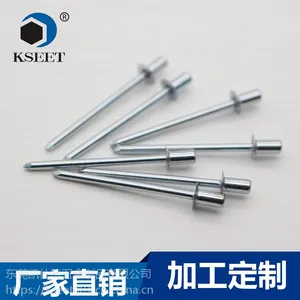 铆钉厂家长期***批发医疗器械用封闭型平圆头抽芯铆钉4*8