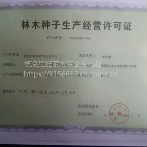 供应陕西葡萄苗户太8号葡萄苗红提葡萄苗夏黑葡萄苗
