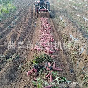 ���ֳ���ʽ�����ջ�� ����ũ���ٺ����� ʥ³�����ջ��