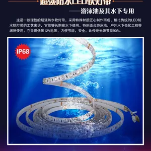 水下LED软灯带 泳池LED灯条 丽岑照明 LCZM