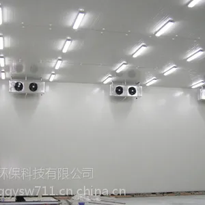 ����Ӣ�������⣬��ҩ��������