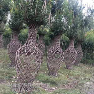 紫薇花蓝价格,紫薇花蓝盆景,紫薇编织花篮造型,成都大红紫薇花瓶