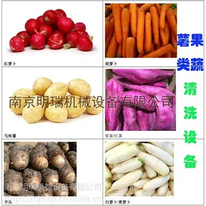 全自动清洗脱皮机红薯土豆山药萝卜清洗脱皮