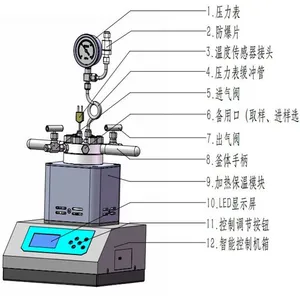 HT-50C0 50mlHTLAB高压反应釜