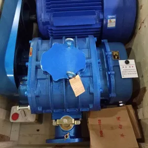 SSR-200罗茨风机,章晃罗茨风机,广州销售部,山东章晃机械