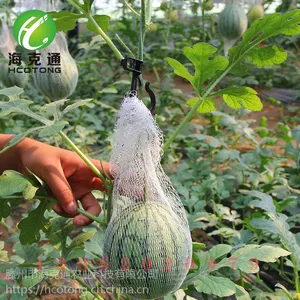 西瓜甜瓜吊瓜钩 悬挂躺蔓钩