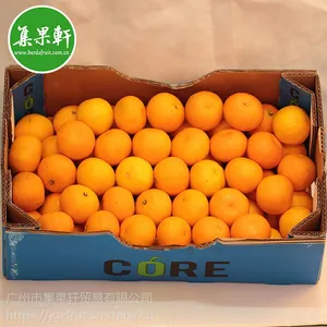 新鲜水果南非进口供应 Nova柑饮品榨汁专用 广州江南水果市场