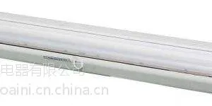 bys-2x28防爆应急吸顶双管荧光灯