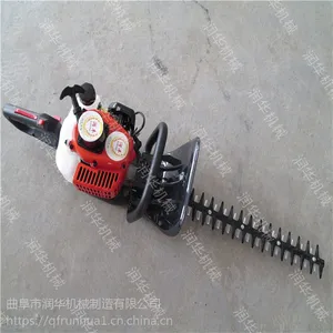 �����ֳ������޼��� ǿ����˫���̻����޼��� ��ֲ��ũ��