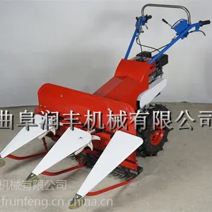 ����������ͷ��̨ ��� ����ˮ����ɹ��