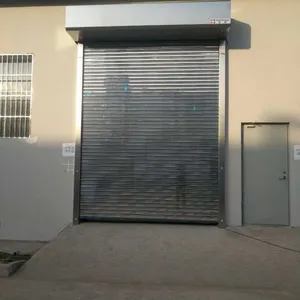���ݵ綯��������������