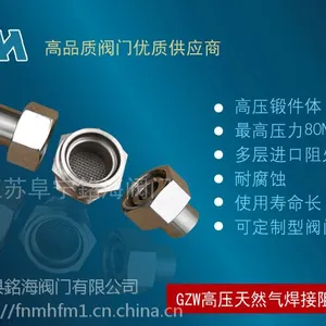 管道阻火器|高压燃气管道阻火器GZW