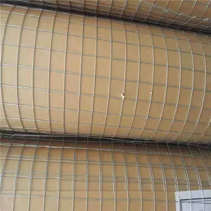 ��п�纸�� ���͵纸�� ������Ƭ����