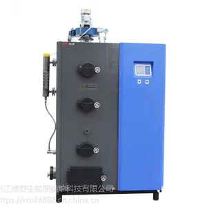 蒸汽发生器300KG生物质锅炉 蒸汽锅炉劳士特免报装 节能环保锅炉 食品加工锅炉