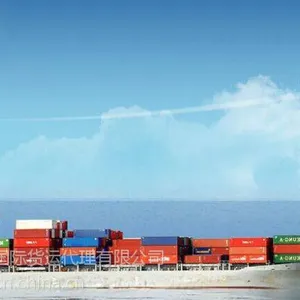 欧美专线双清包税,空派、海派到门 可接带电带磁产品