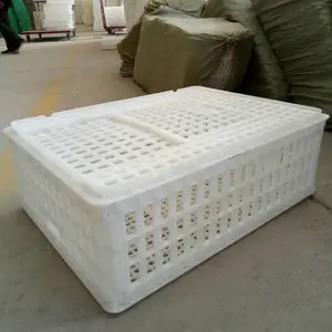 双开门鸡筐 加厚塑料运输笼 运输鸭筐直销