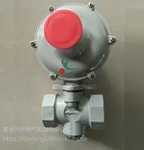菏泽市DN25螺纹燃气调压器燃气减压阀RTZ润丰