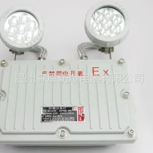 BAJ52防爆双头应急LED灯森恩防爆