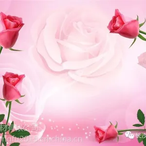 【3D背景画】现代系列——花卉&立体