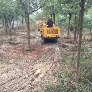 ������������������������������